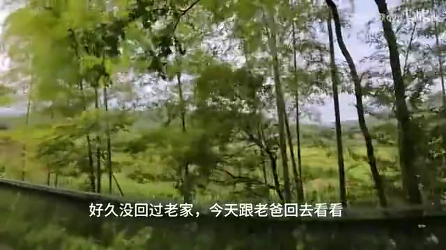 谈球吧官网登录入口shanji发布vlog:情绪只能自己消化 打职业让家人过上更好的生活